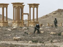 De los 26 yihadistas que perdieron la vida en los combates, once pertenecían al Frente Al Nusra. EFE / V. Savitsky