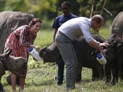 Tras su cuarta jornada de viaje a la India, Guillermo y Catalina se dirigirán mañana a Bután. AP / A. Abidi