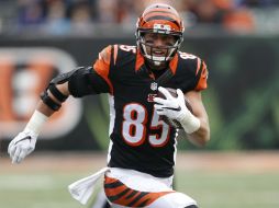 Egresado de Notre Dame, Eifert sobresalió con los Bengalíes de Cincinnati. AP / ARCHIVO