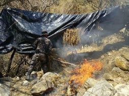 Los sembradíos fueron encontrados en el predio El Salitre por elementos de la Fuerza Única. ESPECIAL / Fiscalía