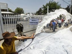 La movilización se realizará en los cruceros más cercanos a los productores, en vías de los Altos de Jalisco. EL INFORMADOR / ARCHIVO