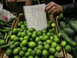 La Profeco indica que el kilogramo del limón con semilla ronda entre los 25 y 40 pesos. EL INFORMADOR / A. García