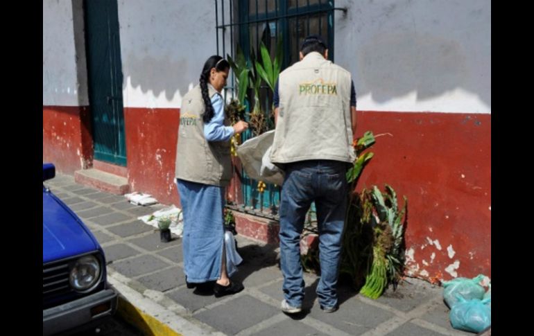 La Profepa exhorta a presentar denuncias contra quien incidan en actos de corrupción. NTX / ARCHIVO