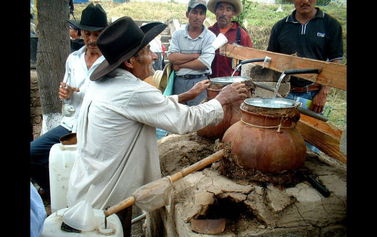 Los mezcaleros afirman que no se oponen a la reglamentación siempre que se busque impulsarlos. EFE / O. R. Avendaño