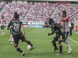 Dorados seguirá buscando triunfos, aunque ya no tenga nada más que ganar. EL INFORMADOR / R. Tamayo