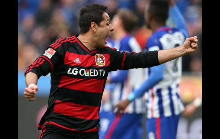 'Chicharito' es el máximo goleador de Leverkusen a pesar de los pocos meses que tiene en el equipo. TWITTER / @bayer04_en