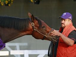 El entrenador de Nyquist asegura que están muy optimistas para el gran día. AP / G. Jones