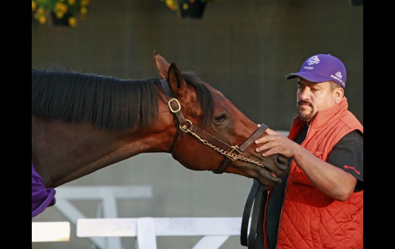 El entrenador de Nyquist asegura que están muy optimistas para el gran día. AP / G. Jones