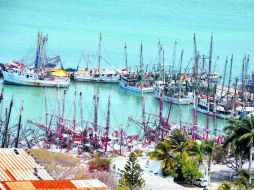 Los barcos camaroneros de la Entidad se encuentran en deterioro ante el olvido de la actividad pesquera. SUN /