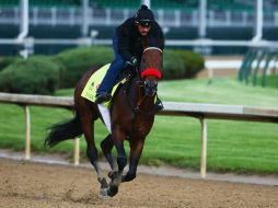 Las apuestas tienen a 'Nyquist' 3 a 1. AFP / M. Meyer