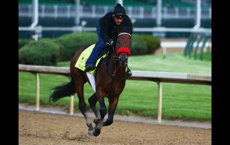 Las apuestas tienen a 'Nyquist' 3 a 1. AFP / M. Meyer