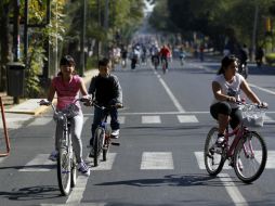 La actividad física es un pilar para la buena salud y mantener un estado físico pleno. EL INFORMADOR / ARCHIVO