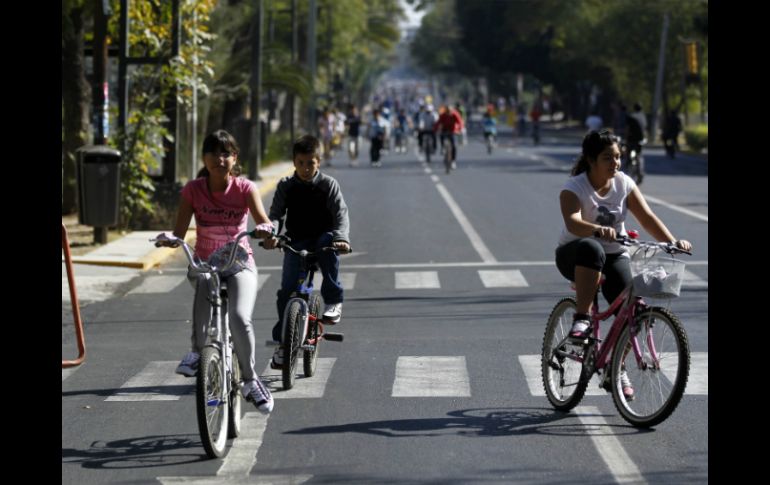 La actividad física es un pilar para la buena salud y mantener un estado físico pleno. EL INFORMADOR / ARCHIVO