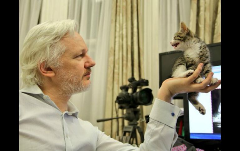 WikiLeaks y Sunshine Press publicaron una imagen de Assange y el gatito, que está en la palma de su mano, mirándose. TWITTER / @EmbassyCat