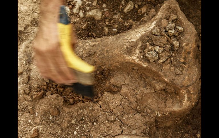 El sitio arqueológico está a unos ocho metros bajo el agua en un sumidero del río Aucilla. EL INFORMADOR / ARCHIVO