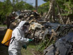 Piden a los asistentes a Río de Jainero evaluar individualmente el riesgo de zika y tomar una decisión en conciencia. AP / ARCHIVO