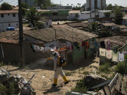 La directora de la OMS recuerda que para hacer frente al virus, la única estrategia es la prevención. AP / ARCHIVO