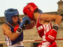 Boxeadores profesionales ya han levantado la mano para representar a sus países en la competencia cuadrienal. EL INFORMADOR / ARCHIVO