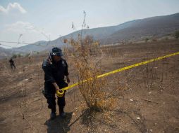 Un policía acordona parte del paraje donde se hallaron los restos. AFP / P. Pardo