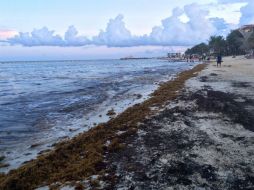 El ecosistema enfrenta el deterioro causado por la pesca no sustentable, los desarrollos mal planeados, así como otros factores. NTX / ARCHIVO