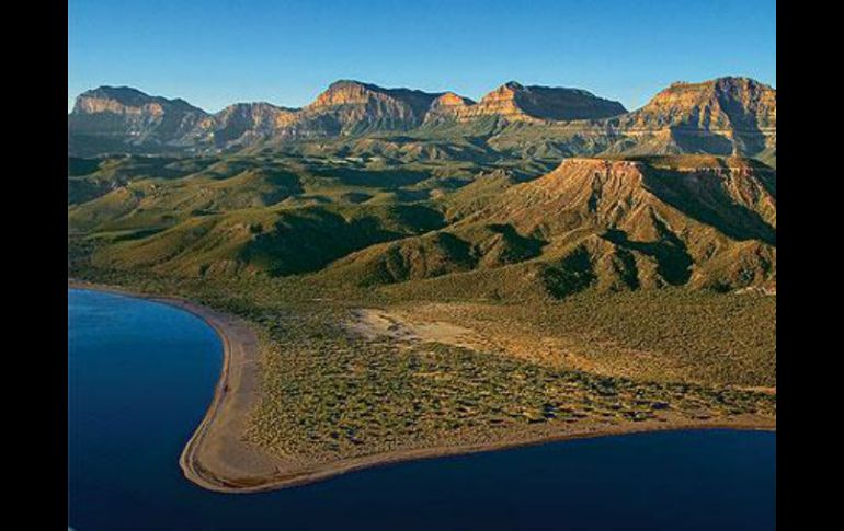 México debe cumplir compromisos internacionales encaminados a detener la pérdida de biodiversidad biológica para el 2020. ESPECIAL / mexicodesconocido.com.mx