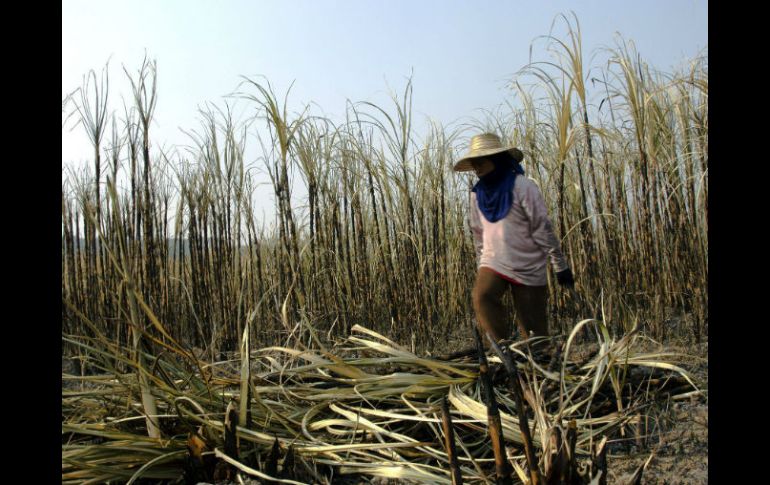 Venezuela está en medio de la peor recesión en décadas, atizada por la caída del del crudo, del cual depende casi completamente. EL INFORMADOR / ARCHIVO