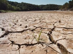 ''El Niño'' provoca fuertes secas por el aumento de temperaturas, y devastadoras lluvias e inundaciones. AP / ARCHIVO