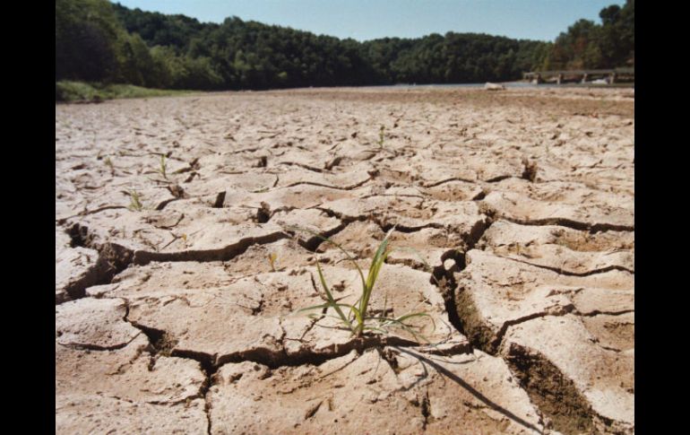 ''El Niño'' provoca fuertes secas por el aumento de temperaturas, y devastadoras lluvias e inundaciones. AP / ARCHIVO