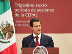 La canciller mexicana, Claudia Ruiz Massieu, informó sobre la visita de Peña Nieto. EFE / ARCHIVO