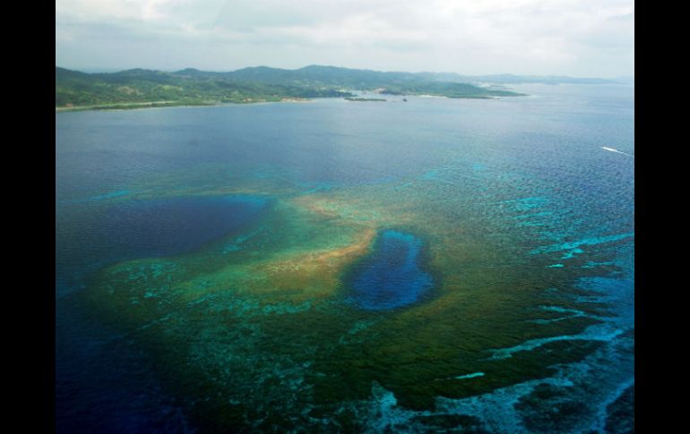 Entre los problemas más graves se encuentran la pérdida de terreno por subida del mar y decoloración de arrecifes coralinos. EFE / ARCHIVO