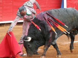 Sin embargo, los doctores insisten en que se mantiene la situación de riesgo, y seguirá recibiendo antibióticos y antiinflamatorios. SUN / ARCHIVO