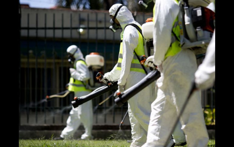 En la región latinoamericana están 35 de los 60 países y territorios que han detectado transmisión local del virus. AP / ARCHIVO