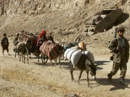 Afirman que el gobierno afgano le ha fallado a los desplazados, incluso en zonas donde hay ayuda internacional. AFP / ARCHIVO