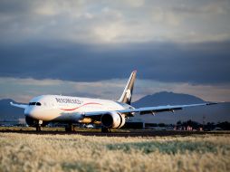 La aerolínea y el sindicato reiteran que seguirán buscando acuerdos que permitan ofrecer a los sobrecargos las mejores oportunidades. NTX / ARCHIVO