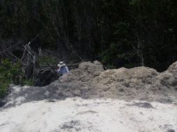 Se constató el relleno de un humedal con material de sargazo y arena de playa. TWITTER / @PROFEPA_Mx