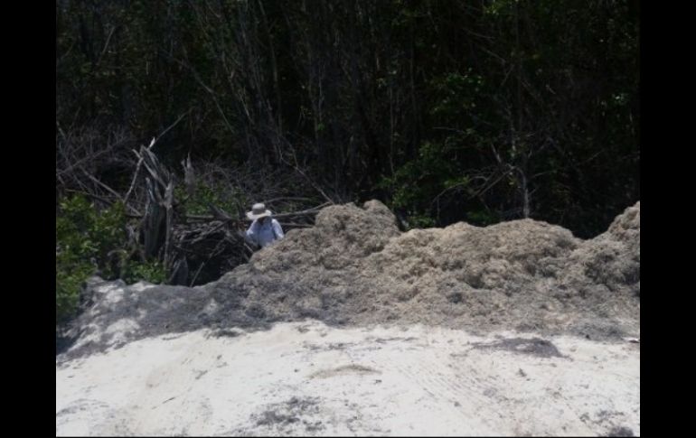 Se constató el relleno de un humedal con material de sargazo y arena de playa. TWITTER / @PROFEPA_Mx