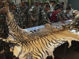 Voceros del lugar aseguran que ningún ejemplar muerto en sus instalaciones había sido vendido en el mercado negro. AP / Kanchanaburi