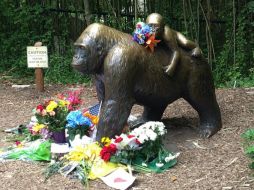 Un equipo especial tuvo que disparar y matar a Harambe, de 17 años, para rescatar al menor. EFE / ARCHIVO