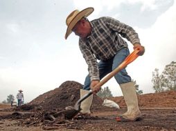 Se busca que campesinos usen abonos naturales y no nitratos o fosfatos que después contaminan la laguna. EL INFORMADOR / M. Vargas