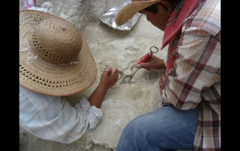 Los brazaletes tal vez son parte de un tesoro que incluye una cadena de oro hallada en el mismo campo en 1911. NTX / ARCHIVO