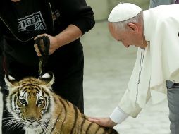 ''Sabéis hacer sonreír, iluminar la mirada, pero también asustar al Papa con estas caricias. ¡Sois poderosos!'', dice Francisco. AP / F. Frustaci