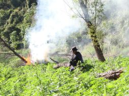 El predio fue localizado el sábado en el Ejido Los Llanos de las Velas. EL INFORMADOR / ARCHIVO