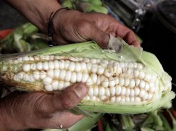 El empresario Rafael Mier ha cultivado alrededor de dos hectáreas de la variedad toluqueña cerca de Valle de Bravo. NTX / ARCHIVO