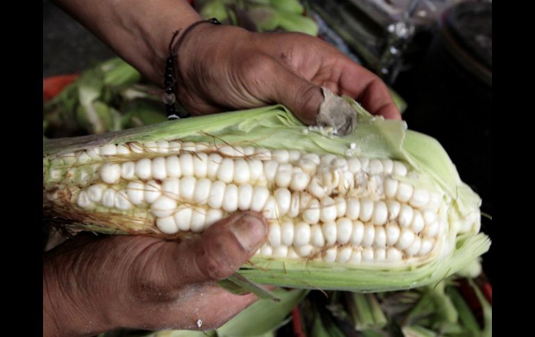 El empresario Rafael Mier ha cultivado alrededor de dos hectáreas de la variedad toluqueña cerca de Valle de Bravo. NTX / ARCHIVO