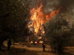 Camiones cisterna y palas mecánicas son usados para mantener protegidas las zonas habitadas, dicen los bomberos. EFE / Y. Kolesidis