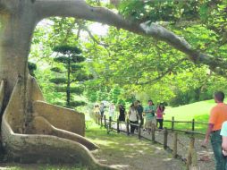 Parque Botánico. Se ubicará en el predio El Disparate, donado por el Gobierno a la UdeG. ESPECIAL /