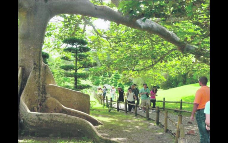 Parque Botánico. Se ubicará en el predio El Disparate, donado por el Gobierno a la UdeG. ESPECIAL /