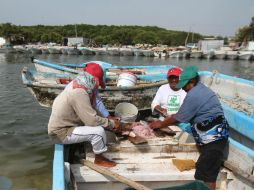 Apoyarán la adquisición de equipo y artes de pesca a pescadores de 18 municipios de esta entidad. NTX / ARCHIVO