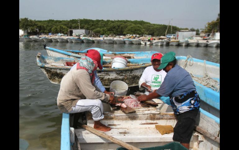 Apoyarán la adquisición de equipo y artes de pesca a pescadores de 18 municipios de esta entidad. NTX / ARCHIVO