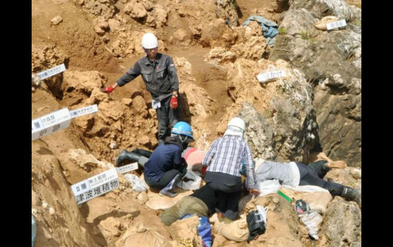 El grupo, de unas 10 personas, cuenta también con miembros del Museo Nacional de Ciencia y Naturaleza de Tokio. ESPECIAL /